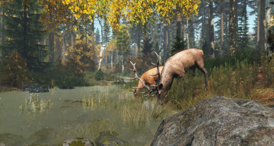 Northern Wilderness